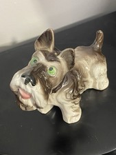 Vintage schnauzer puppy for sale  Zephyrhills