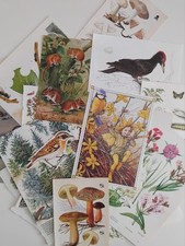Junk journal ephemera for sale  BIRKENHEAD