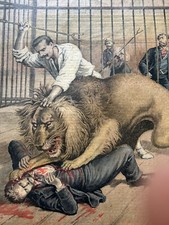 1895 devoré lion d'occasion  Saint-Julien-l'Ars