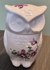 handpainted flower owl pot for sale  Woonsocket