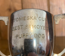 Best samoyed puppy for sale  LINCOLN
