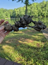 Driftwood floral design for sale  Cave Spring