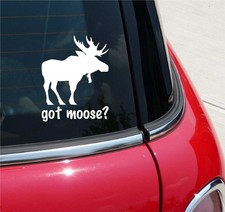 Got moose loose for sale  Lenoir City
