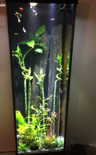 Aquarium colonne 180 d'occasion  Ondres