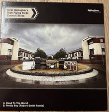 Noel gallagher high gebraucht kaufen  Grünwald