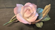 boehm rose for sale boehm rose for sale Cypress
