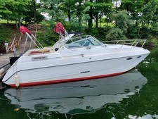 1980 stingray aft for sale  Hollidaysburg