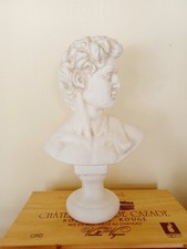 Buste david plâtre d'occasion  Pessac