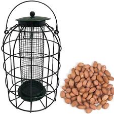 Bird peanut feeder for sale  SWINDON