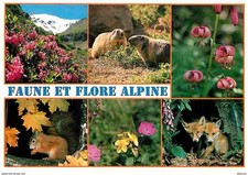 Animaux flore faune d'occasion  Fruges