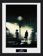 Exorzist filmplakat gerahmtes gebraucht kaufen  Regensburg