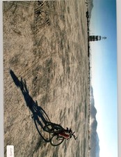 Burning man festival for sale  Mchenry