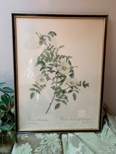 Framed vintage print for sale  WORTHING