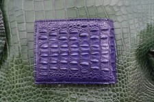 Real alligator crocodile for sale  USA