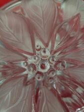 Home beautiful poinsettia for sale  Johnson City