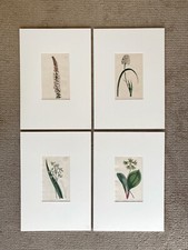 Set original curtis for sale  Portland