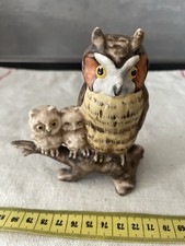 Eule kleinen eulen gebraucht kaufen  Markdorf