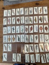 Sport fish set for sale  FARNBOROUGH