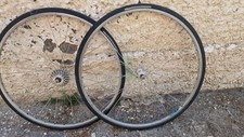 Ruote campagnolo usato  Torre Annunziata