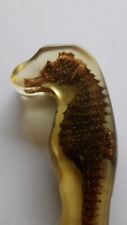 Hippocampe taxidermie inclusio d'occasion  Laruscade