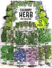 Culinary herb seed for sale  New Haven