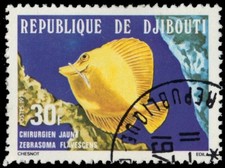 Djibouti 483 yellow d'occasion  Expédié en Belgium