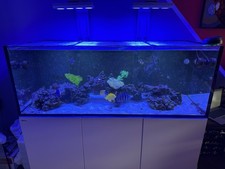 Red sea 525xl for sale  TAMWORTH