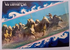 Chevaux camargue pp999 d'occasion  Dombasle-sur-Meurthe