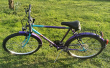 Mountainbike herrenrad hanseat gebraucht kaufen  Bretten