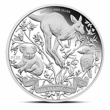 2024 perth mint for sale  Austin
