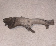 Natural driftwood unique for sale  Dundee