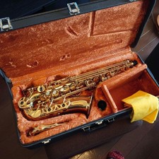 Yanagisawa 500 alto d'occasion  Expédié en Belgium
