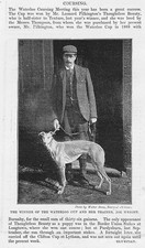 Coursing winner waterloo for sale  GLASGOW
