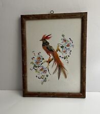 Golden pheasant art for sale  Buffalo