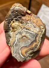 20g fairburn agate for sale  Mazeppa