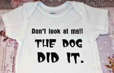 Look dog gerber for sale  Buffalo
