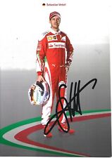 Sebastian vettel formel gebraucht kaufen  Stuttgart