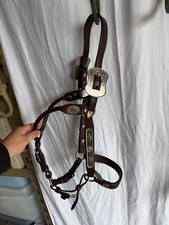 Circle show halter for sale  Odessa