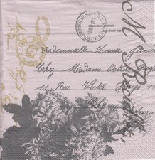 Lunch papier servietten gebraucht kaufen  Duisburg