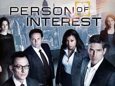 Person interest dvd usato  Roma
