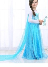 Frozen elsa costume for sale  Charlotte