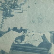 Antique cyanotype snapshot for sale  Raleigh
