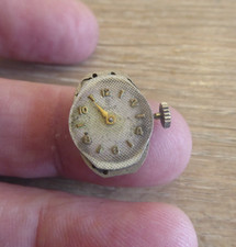 Quality tudor rose for sale  KENILWORTH