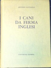 Cani ferma inglesi usato  Italia