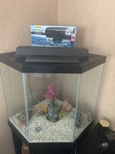 Aquarium gallon tall for sale  Tallahassee