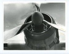 Photograph short empire for sale  FELTHAM
