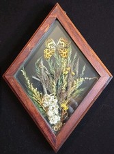 Diamond framed dried for sale  Tracy