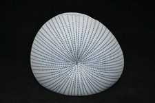 Organic shaped vase for sale  Springfield