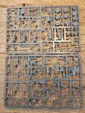Warhammer the beastman gebraucht kaufen  Leipheim