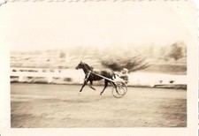 Man behind horse for sale  Thomasville